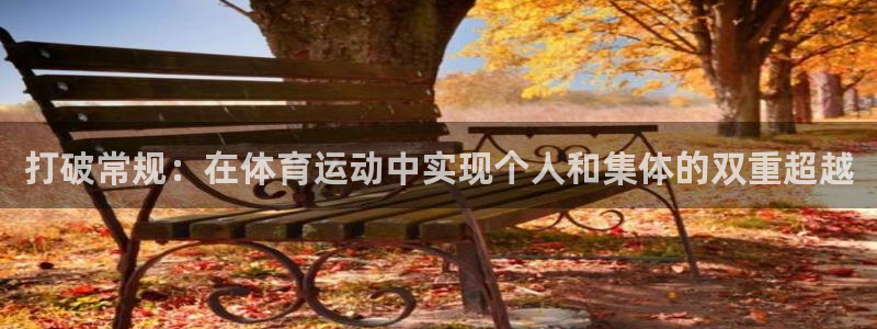 速球体育官方版下载