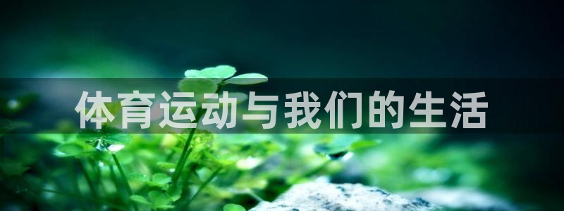 关键词