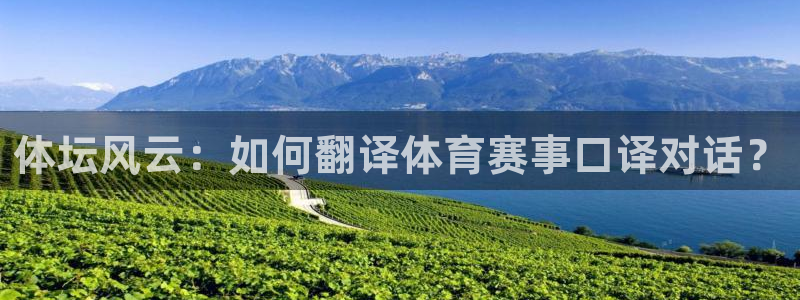 速球体育官方版下载