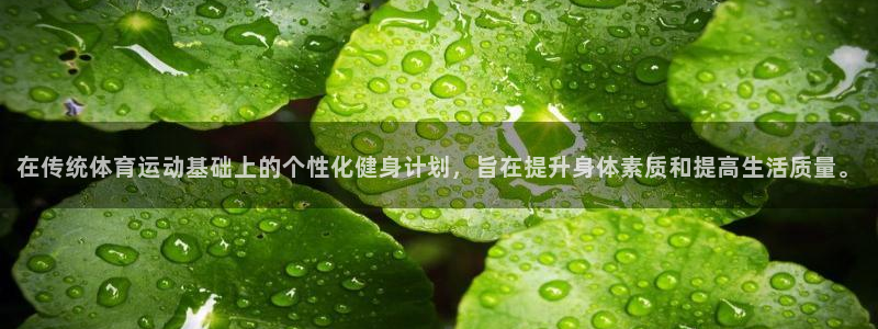 速球体育App下载