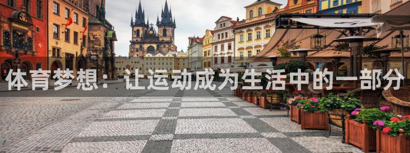速球体育可以玩吗：体育梦想：让运动成为生活中的一部分