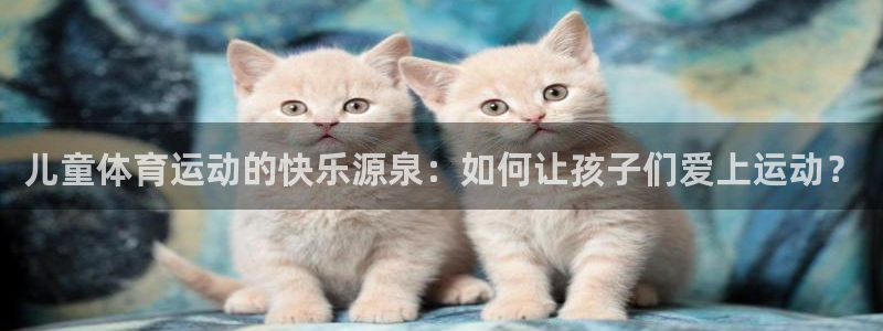 速球体育官方版下载