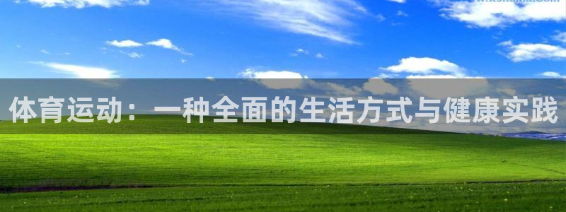 速球体育官方版下载