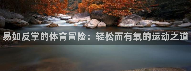 速球体育官网入口