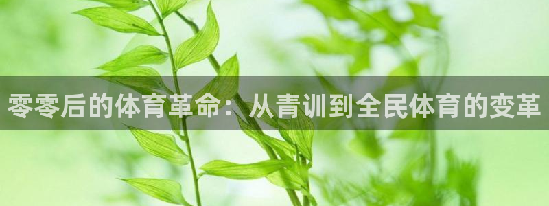 速球体育app：零零后的体育革命：从青训到全民体育的变革
