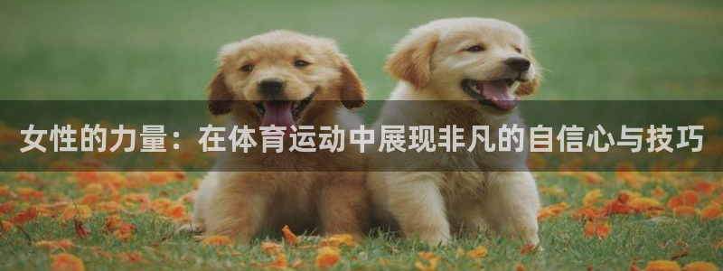 速球体育app最新版：女性的力量：在体育运动中展现非凡的自信心与技巧
